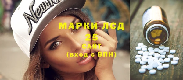 прущие грибы Алзамай