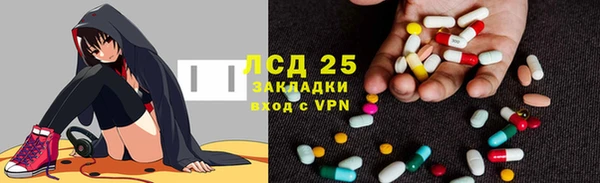 прущие грибы Алзамай
