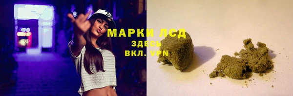 прущие грибы Армянск