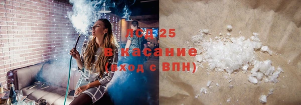 прущие грибы Армянск
