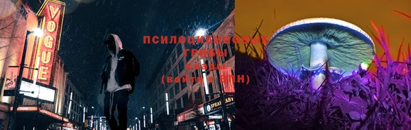 прущие грибы Алзамай